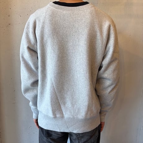 Champion Reverse Weave Plane Sweat Shirt