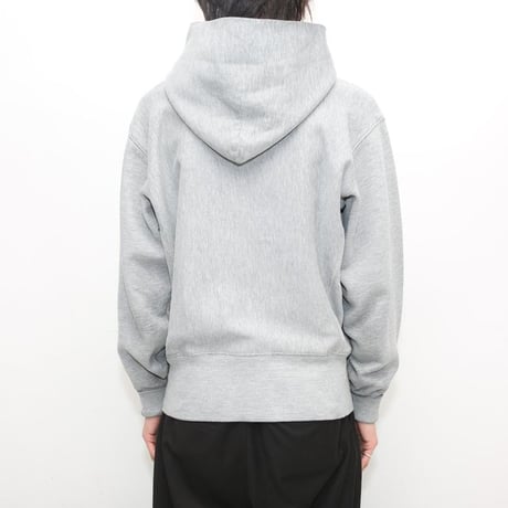 Champion Reverse Weave Plane Sweat Hoodie