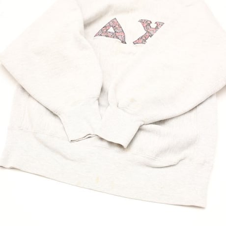 90's Champion Reverse Weave Sweat Shirt