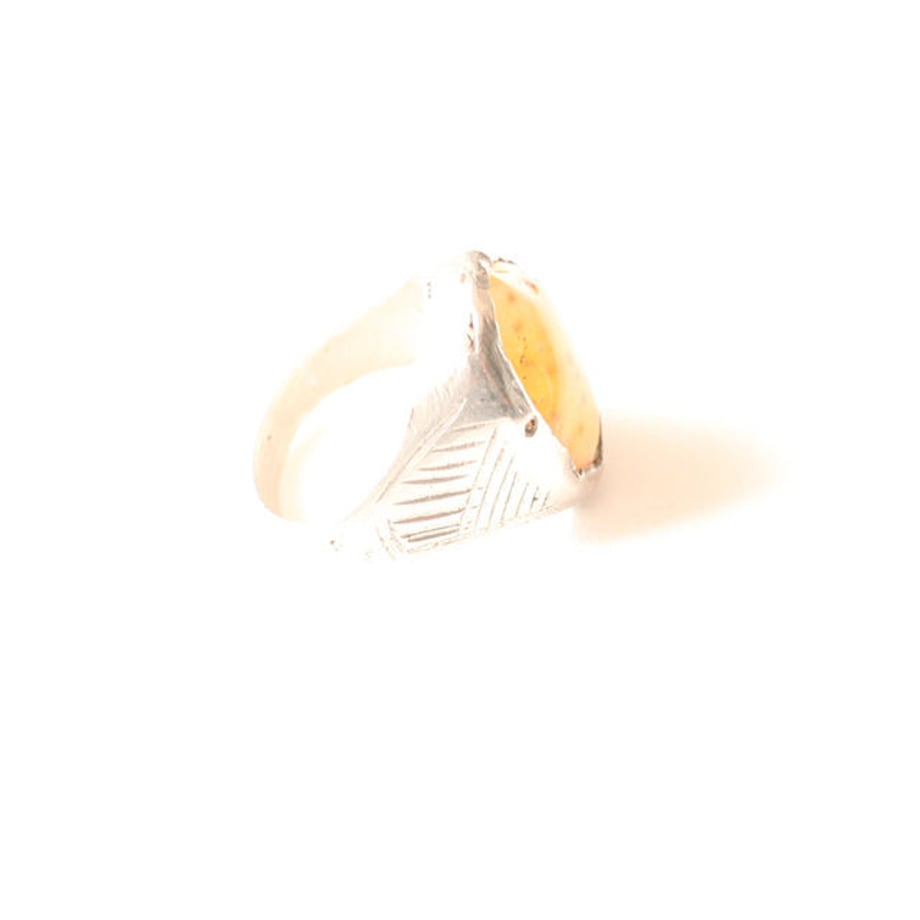 5ce8c2d1d211bf4d534054a3