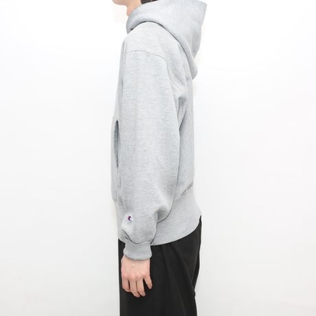 Champion Reverse Weave Plane Sweat Hoodie