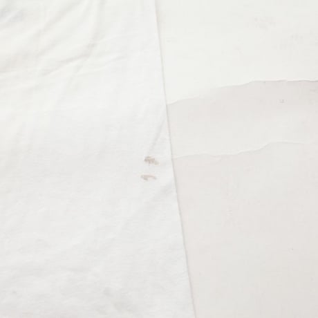 Vintage PIA Ringer T-Shirt