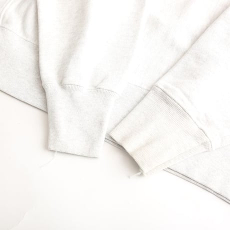 Champion Reverseweave College Sweat Shirt
