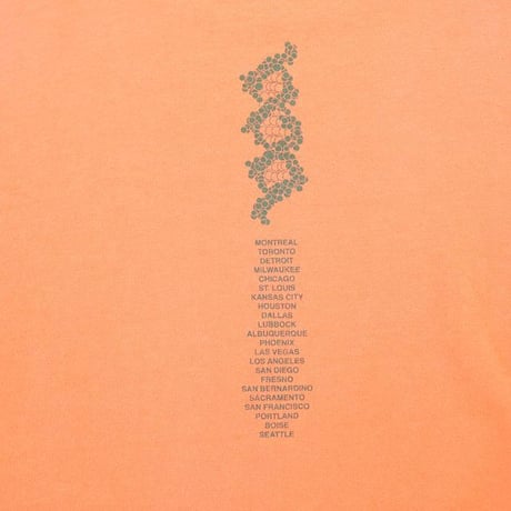 Pearl Jam Binaural Tour T-Shirt