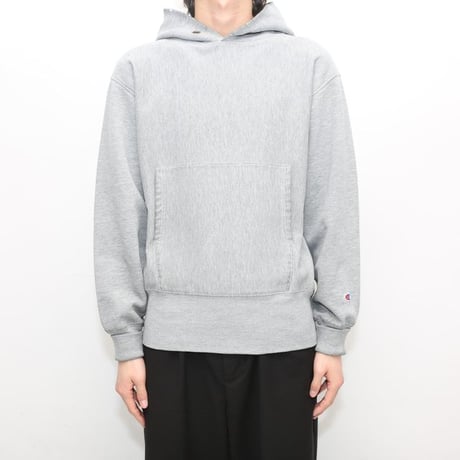 Champion Reverse Weave Plane Sweat Hoodie
