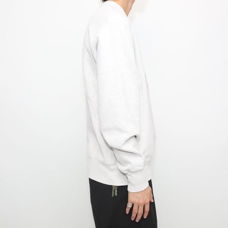 Champion Reverseweave College Sweat Shirt