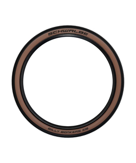SCHWALBE　ビリーボンカーズ 20x2.00