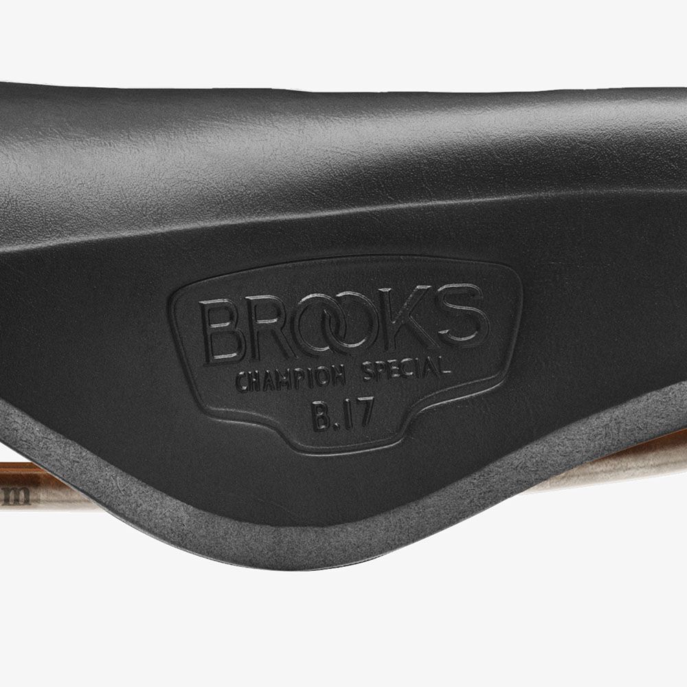 BROOKS b17 titanium ブルックス レザー サドル チタン b3d1134c-s.jpg
