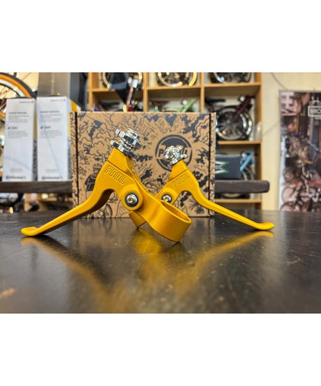PAUL　 CANTI LEVER　【GOLD】