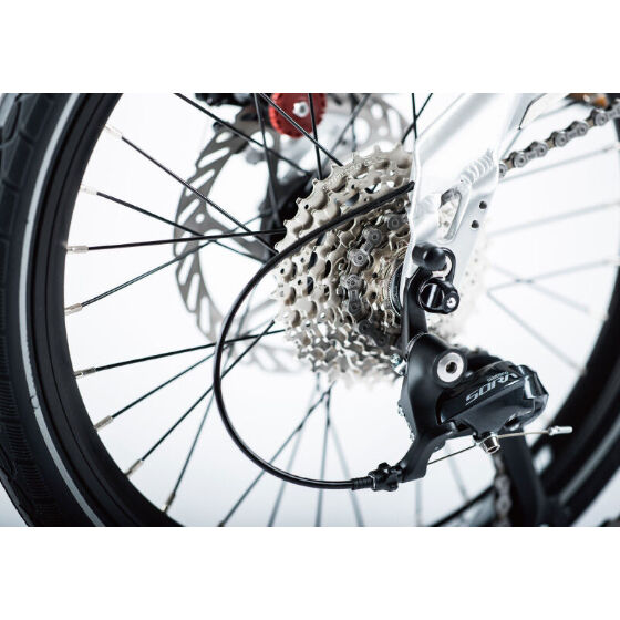 birdy Standard DISC | LORO CYCLE WORKS ONLINE S birdy Standard DISC | LORO CYCLE WORKS ONLINE S