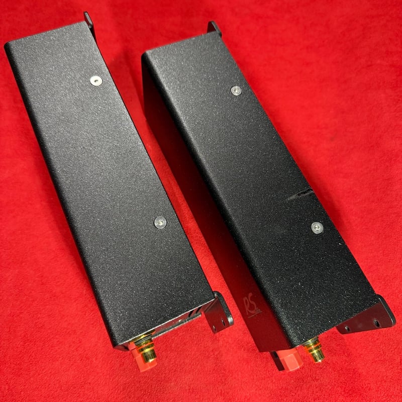 RS AUDIO MONOアンプ 2個セット RS Experience M Limited