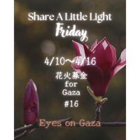 花金募金 for Gaza #16 / Share A Little Light Friday