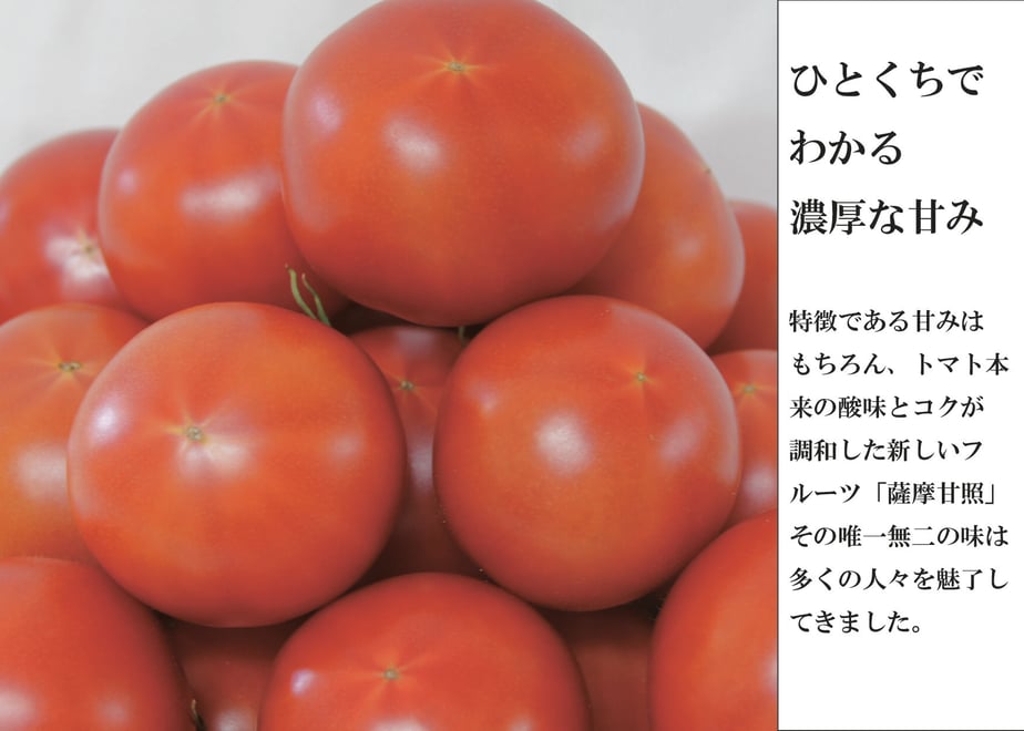 607fc652c9827a47481efcc7