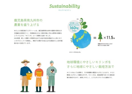 【おトクな定期便】鹿児島てらすファームのモリンガパウダー(知覧茶製法・朝摘み）