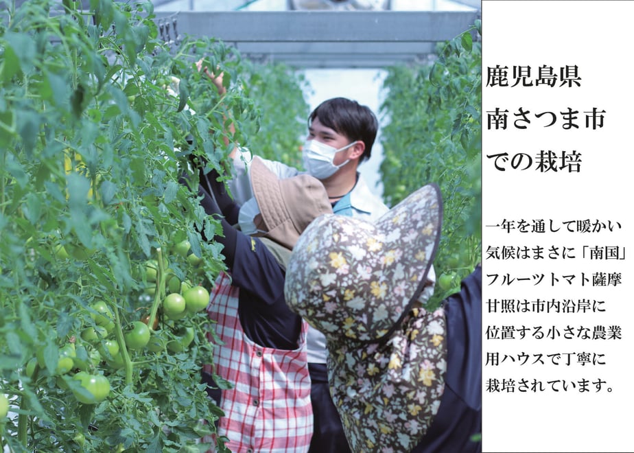 6458a644717fd9002a770fbf