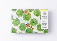 鹿児島てらすファームのモリンガパウダー（知覧茶製法・朝摘み）　1ヵ月セット