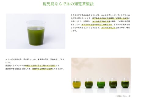 鹿児島てらすファームのモリンガパウダー（知覧茶製法・朝摘み）　1週間おためしセット