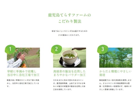 【おトクな定期便】鹿児島てらすファームのモリンガパウダー(知覧茶製法・朝摘み）