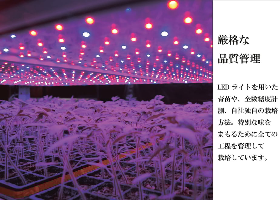 6458a644717fd9002a770fbf