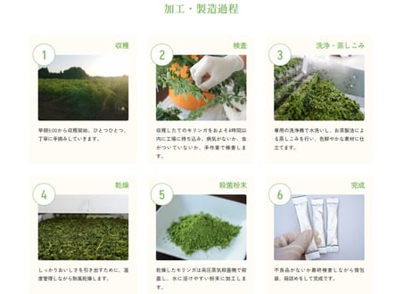 鹿児島てらすファームのモリンガパウダー（知覧茶製法・朝摘み）　1週間おためしセット
