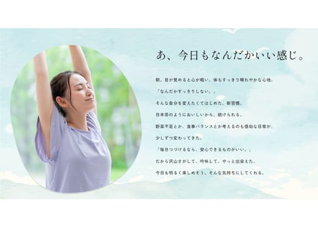 鹿児島てらすファームのモリンガパウダー（知覧茶製法・朝摘み）　1ヵ月セット