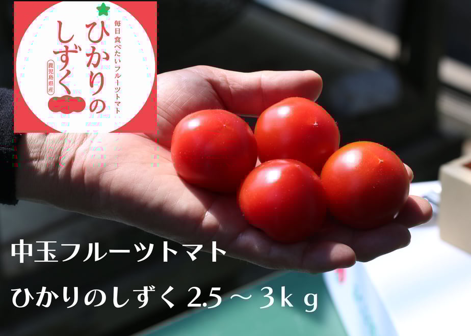 6535d5b359d7982d4ce0bb52