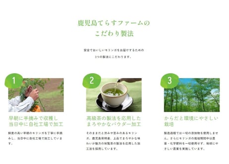 鹿児島てらすファームのモリンガパウダー（知覧茶製法・朝摘み）　1ヵ月セット