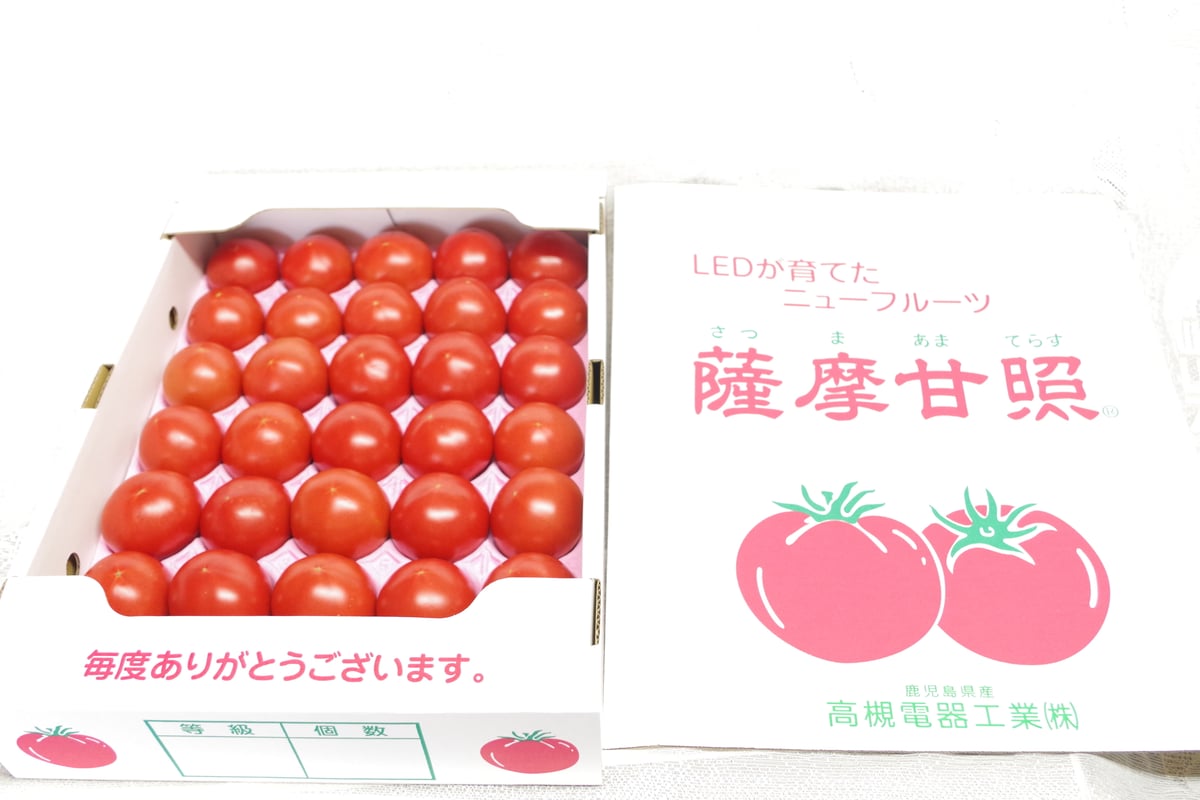 南国フルーツトマト薩摩甘照 大箱セット(予約販売) | てらす 南国フルーツトマト薩摩甘照 大箱セット(予約販売) | てらす