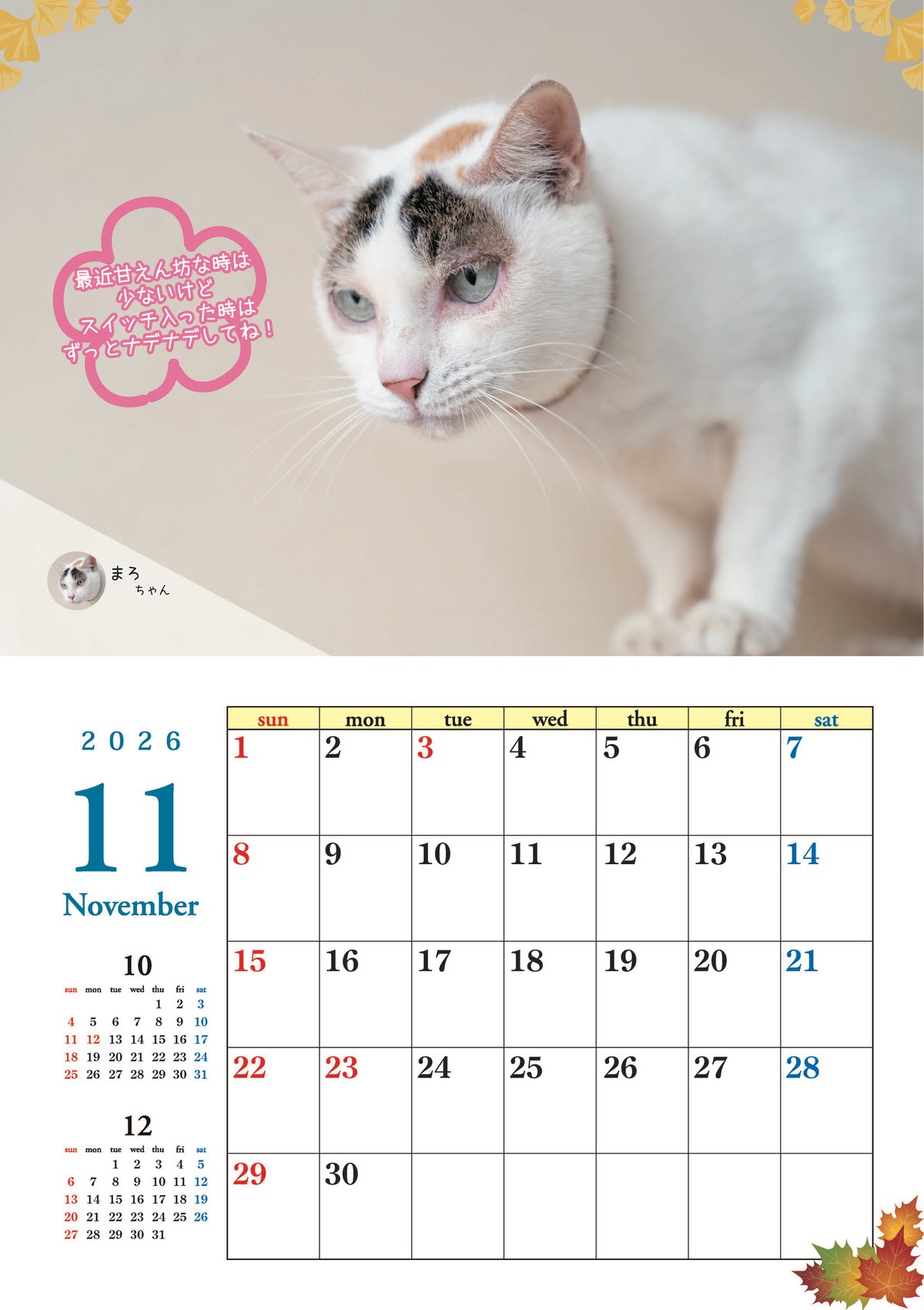 あ*み様 【ねこツーカレンダー】2026年度 2026年きぶん屋A4折り畳みサイズカレンダー | 変えてみよう！