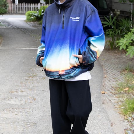 APPLEBUM summer madness half zip fleece