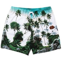 APPLEBUM palm beach board shorts