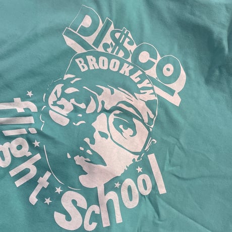 DISCO flight school  TEE