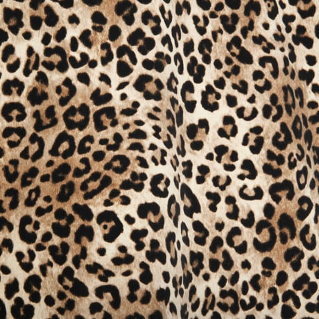 APPLEBUM LEOPARD” COACH JACKET yellow