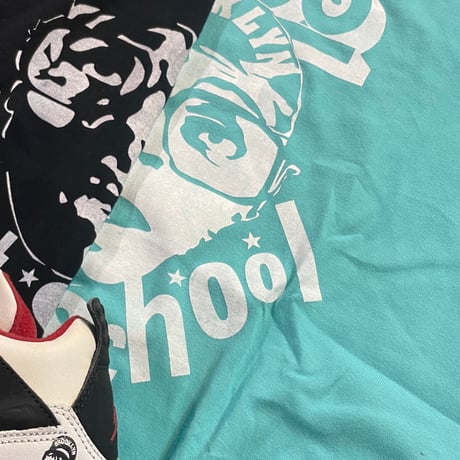 DISCO flight school  TEE