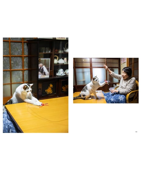 94歳セツの新聞ちぎり絵日記