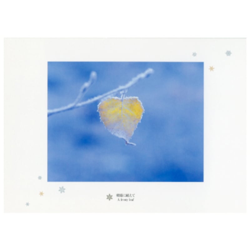 ポストカード12枚組「白い風景」 | 株式会社フォト信州