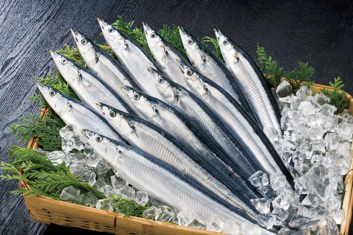 さんま‼️ 訳あって さんま開き 36枚 分け合って 訳あり さんま開き さんま