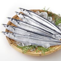 限定！特大鮮さんま（130g以上）15匹 ＊クール便送料・税込価格 | さん
