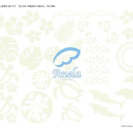 HAWAII♡