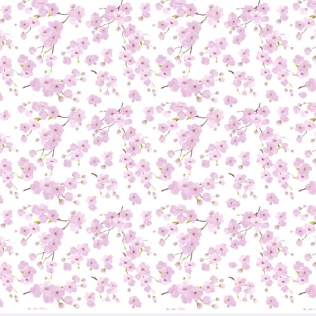 MAMEZAKURA(ガラス用)
