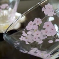MAMEZAKURA(ガラス用)