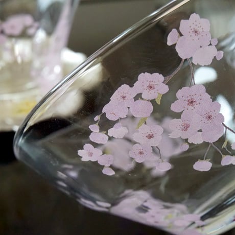 MAMEZAKURA(ガラス用)