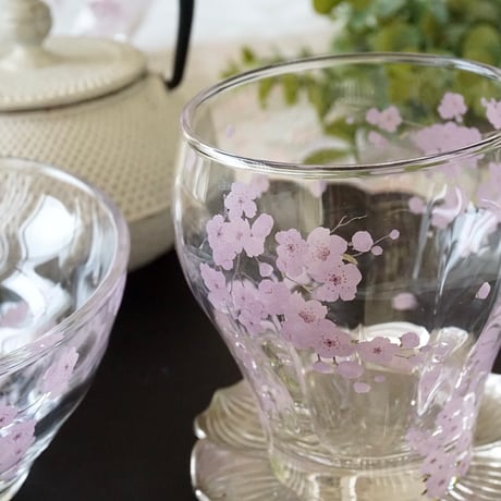 MAMEZAKURA(ガラス用)