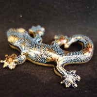 縁起飾りヤモリ白粒 | 金澤・東山 九谷焼「宮」goo