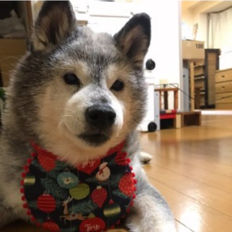 松原手作りよだれかけクリスマスバージョン