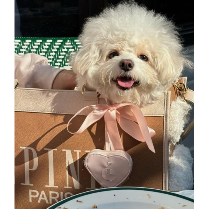épine pets bear bag(5color) | épine épine pets bear bag(5color) | épine