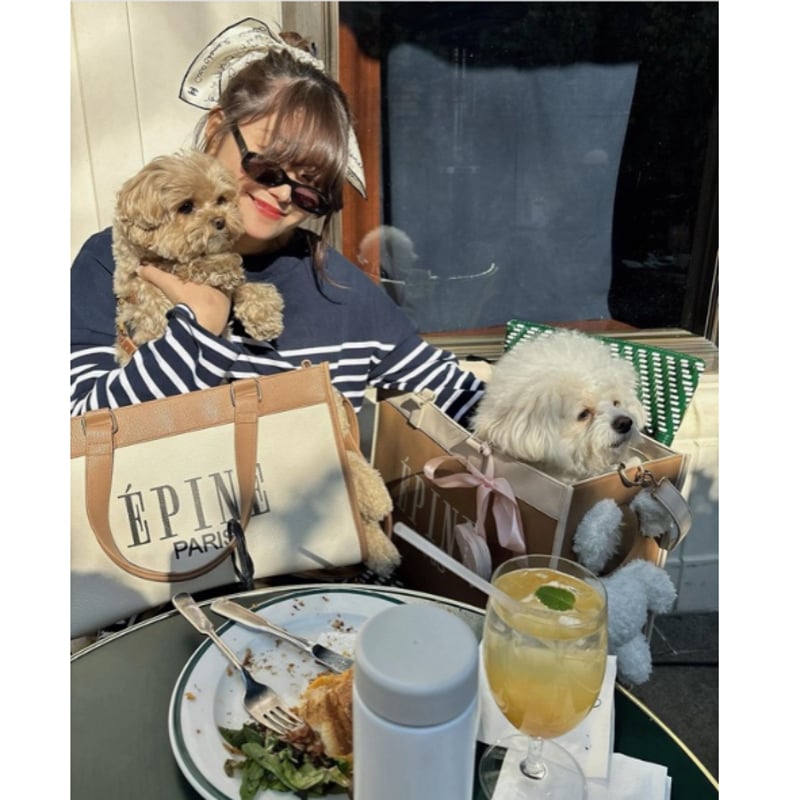 épine pets bear bag(5color) | épine épine pets bear bag(5color) | épine