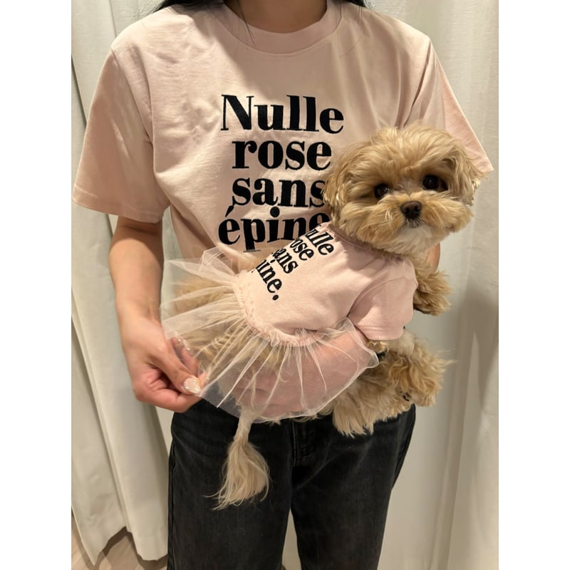 エピヌ　epine　犬　犬服 エピヌ epine 犬 犬服