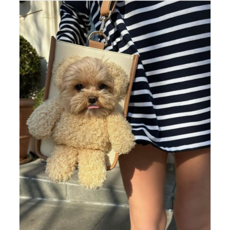 épine pets bear bag(5color) | épine épine pets bear bag(5color) | épine
