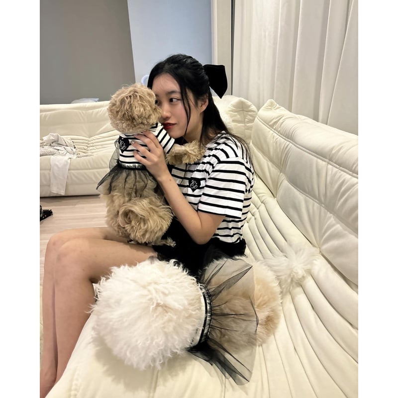 エピヌ　epine　犬　犬服 エピヌ epine 犬 犬服 épine pets PARIS tee | épine